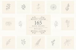 165 Hand Drawn Floral Elements, Frames. Product Image 1