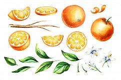 Natural Orange juice. Watercolor Product Image 2