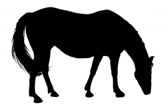 Horses | Digital Watercolor Clip Art | PNG/JPEG Product Image 6