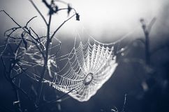 620 Halloween Time Lightroom Presets Product Image 12
