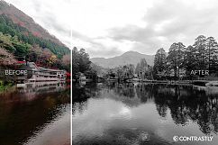Black &amp; White Photoshop Actions Product Image 2