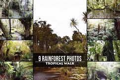 9 Tropical Rainforest Photos Product Image 1