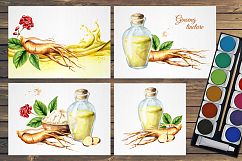 Ginseng. Watercolor collection Product Image 5