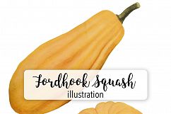 Fordhook and Perfect Gem Squash Product Image 1