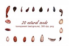 Sweet Autumn - Watercolor Clip Art Set Product Image 5