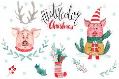 Watercolor Christmas Pig Collection Product Image 3