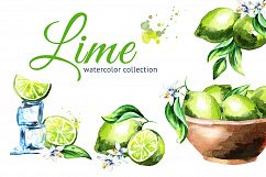 Lime. Watercolor collection Product Image 1