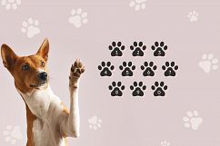 Paws Product Image 4