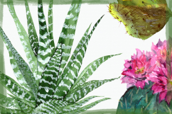Watercolor Cactuses Clip Art Set Product Image 3