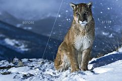 Only Visual Effects Bundle Product Image 28