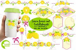 Lemon frames and embellishments graphics, illustrations AMB-891 Product Image 6