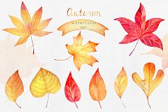 Watercolor Autumn Clipart Collection Product Image 3