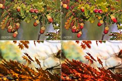 Autumn Lr Presets Product Image 7
