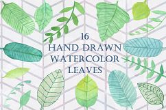 16 Handpainted Watercolor Leaves Product Image 1