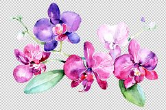 Branch of purple orchids PNG watercolor set Product Image 1