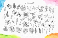 Tropical blossom graphic collection Product Image 13