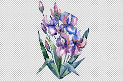 Bouquet of violet irises PNG watercolor set Product Image 1