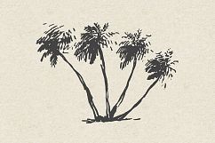 227 hand drawn palms + BONUS Product Image 3