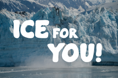 Burly Typeface Product Image 4