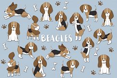 Beagles Product Image 1