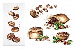 Coffee bean. Watercolor collection Product Image 6
