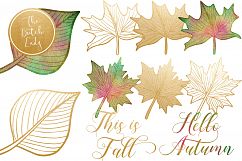 Autumn &amp; Fall Leaves Clipart Set Product Image 4