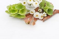 Styled Photos Bundle with Molucella Product Image 7