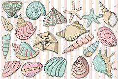 Sea Shells Product Image 2