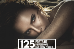 550 Portrait Lightroom Presets Product Image 1