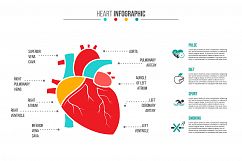 Medical infographics Product Image 4