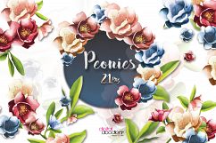 Peonies Product Image 1