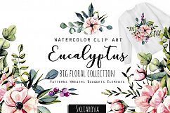 Eucalyptus. Big floral collection. Product Image 1