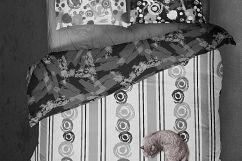 Grunge objects set +patterns Product Image 2