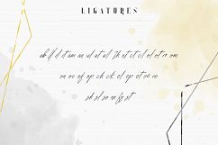 Sugar Spice - font duo Extras Product Image 13