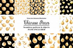 Fresh Chinese Pears by watercolor Product Image 2