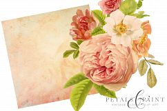 Petals &amp; Paint - Floral Clip Art Product Image 5