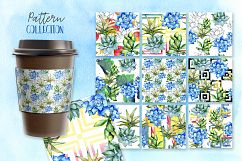 Succulent blue tropical plant PNG set Product Image 4