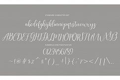 Nostalgia Script Product Image 8
