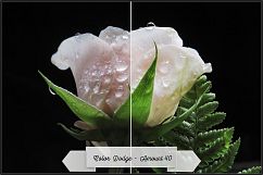 Blend Modes Profiles LR7.3 ACR10.3 Product Image 7