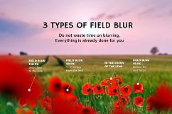 17 Poppie Flowers Photo Overlays Product Image 2