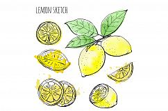Sketch lemons. Watercolor. Vector. Product Image 3