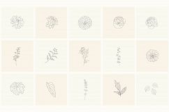 165 Hand Drawn Floral Elements, Frames. Product Image 5