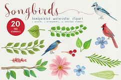 Song Birds Watercolor Clipart Product Image 3