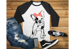 Bandana Dog Product Image 1