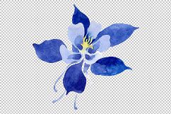 Flowers set PNG watercolor   Product Image 4