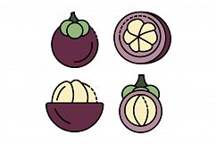 Mangosteen icons set vector flat Product Image 1