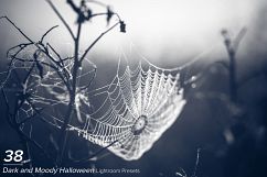 38 Dark and Moody Halloween Presets Product Image 1