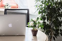 Green Workplace Macbook Mock-up, JPG Product Image 2