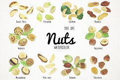 Watercolor Nuts Clipart, Nuts Clip Art, Pistachios Clipart Product Image 1