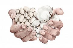 cotton and silk warm in hand illustration vector Product Image 1